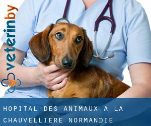 Hôpital des animaux à La Chauvellière (Normandie)