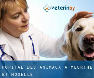Hôpital des animaux à Meurthe-et-Moselle