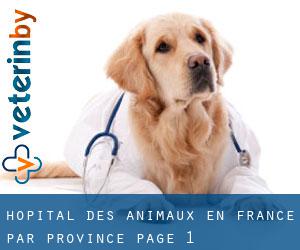 Hôpital des animaux en France par Province - page 1