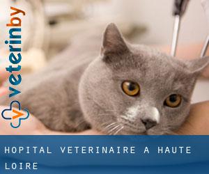 Hôpital vétérinaire à Haute-Loire