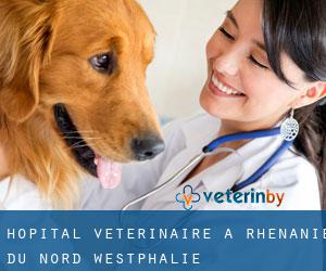 Hôpital vétérinaire à Rhénanie du Nord-Westphalie