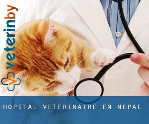 Hôpital vétérinaire en Népal