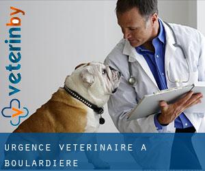 Urgence vétérinaire à Boulardière