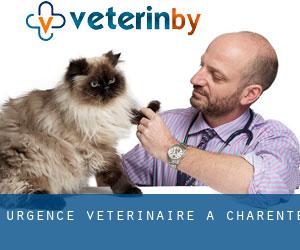 Urgence vétérinaire à Charente