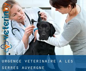 Urgence vétérinaire à Les Serres (Auvergne)