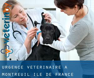 Urgence vétérinaire à Montreuil (Île-de-France)
