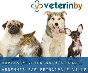hôpitaux vétérinaires dans Ardennes par principale ville - page 1