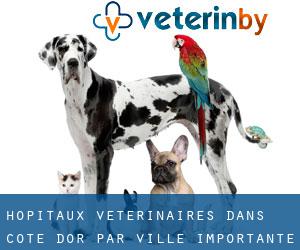 hôpitaux vétérinaires dans Côte-d'Or par ville importante - page 1