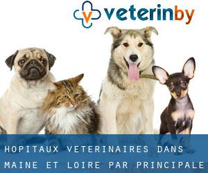 hôpitaux vétérinaires dans Maine-et-Loire par principale ville - page 1