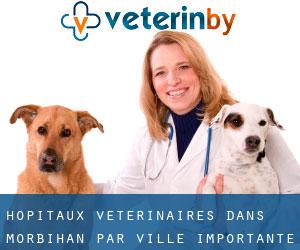 hôpitaux vétérinaires dans Morbihan par ville importante - page 1