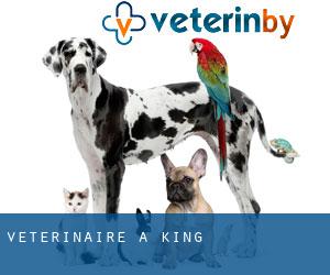 vétérinaire à King