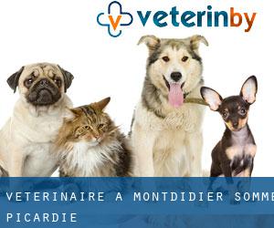 vétérinaire à Montdidier (Somme, Picardie)
