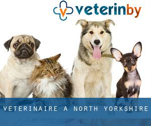 vétérinaire à North Yorkshire