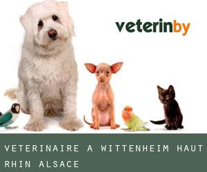 vétérinaire à Wittenheim (Haut-Rhin, Alsace)
