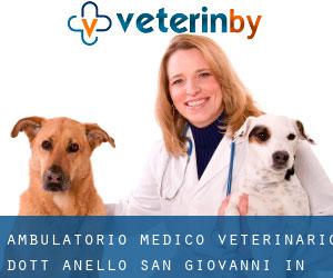 AMBULATORIO MEDICO VETERINARIO DOTT. ANELLO (San Giovanni in Marignano)