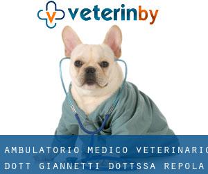 Ambulatorio Medico Veterinario Dott. Giannetti Dott.ssa Repola (Lamporecchio)