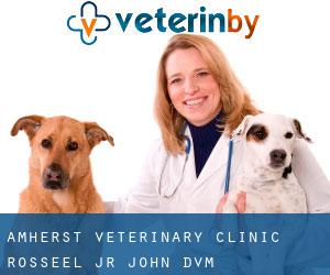 Amherst Veterinary Clinic: Rosseel Jr John DVM
