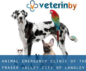 Animal Emergency Clinic Of The Fraser Valley (City of Langley)