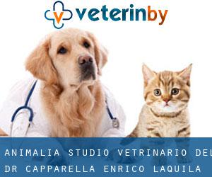 Animalia Studio Vetrinario Del Dr. Capparella Enrico (L'Aquila)
