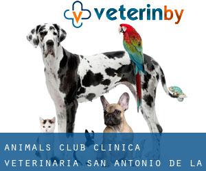 Animal's Club Clínica Veterinaria (San Antonio de la Cal)