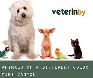 Animals of A Different Color (Mint Canyon)