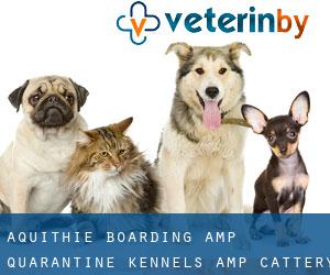 Aquithie Boarding & Quarantine Kennels & Cattery (Clovenstone)