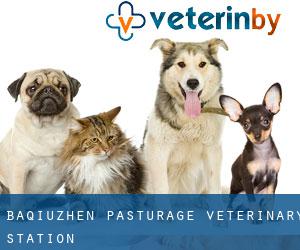 Baqiuzhen Pasturage Veterinary Station