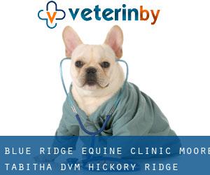 Blue Ridge Equine Clinic: Moore Tabitha DVM (Hickory Ridge)