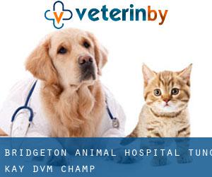 Bridgeton Animal Hospital: Tung Kay DVM (Champ)
