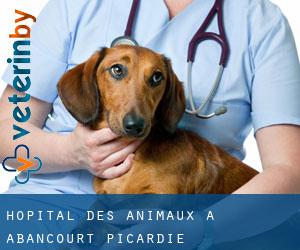 Hôpital des animaux à Abancourt (Picardie)