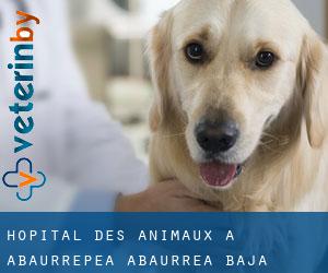 Hôpital des animaux à Abaurrepea / Abaurrea Baja