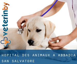 Hôpital des animaux à Abbadia San Salvatore