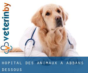 Hôpital des animaux à Abbans-Dessous