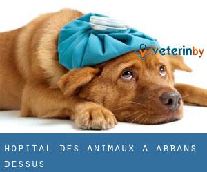 Hôpital des animaux à Abbans-Dessus