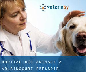Hôpital des animaux à Ablaincourt-Pressoir
