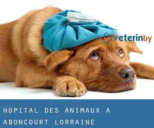 Hôpital des animaux à Aboncourt (Lorraine)