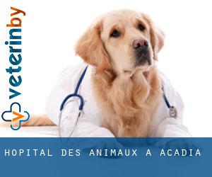 Hôpital des animaux à Acadia