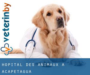 Hôpital des animaux à Acapetagua