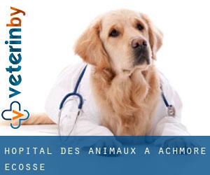 Hôpital des animaux à Achmore (Ecosse)