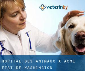 Hôpital des animaux à Acme (État de Washington)