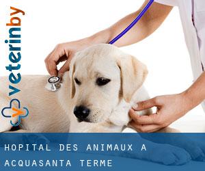 Hôpital des animaux à Acquasanta Terme