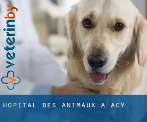 Hôpital des animaux à Acy