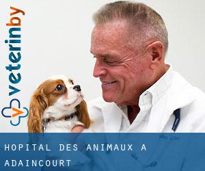 Hôpital des animaux à Adaincourt