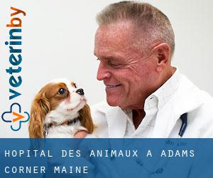 Hôpital des animaux à Adams Corner (Maine)
