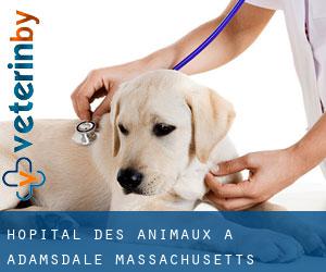 Hôpital des animaux à Adamsdale (Massachusetts)