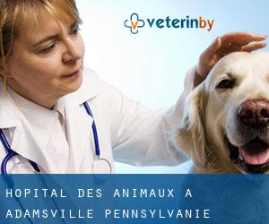 Hôpital des animaux à Adamsville (Pennsylvanie)