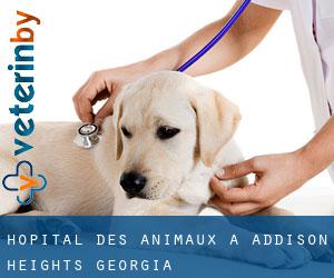 Hôpital des animaux à Addison Heights (Georgia)