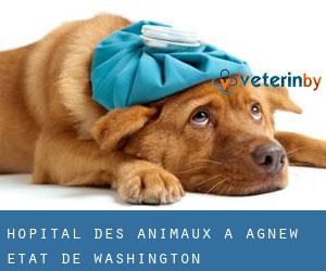 Hôpital des animaux à Agnew (État de Washington)