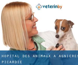 Hôpital des animaux à Agnières (Picardie)