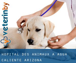 Hôpital des animaux à Agua Caliente (Arizona)